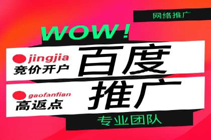 信息流广告投放公司成功案例分享